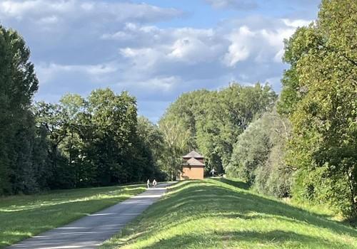Rheinauen bei Hördt