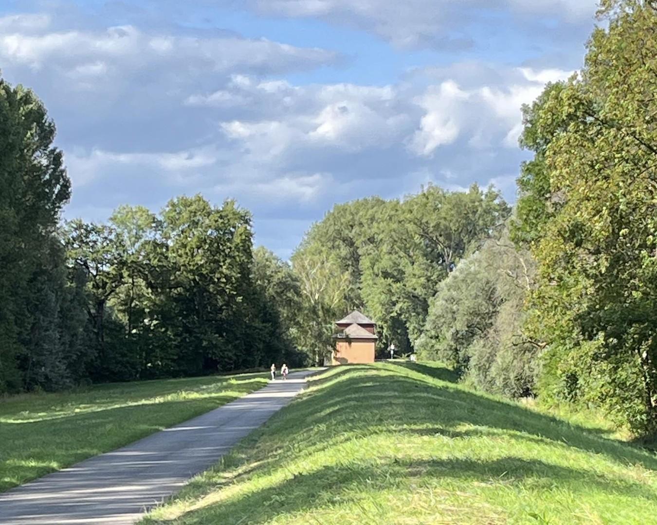 Rheinauen bei Hördt