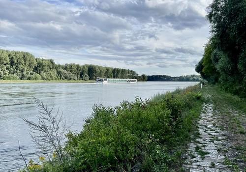 Rhein bei Hördt