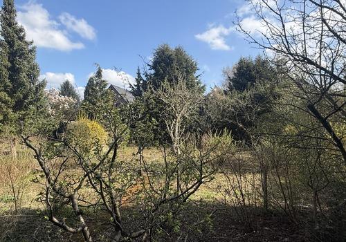 Obstgarten