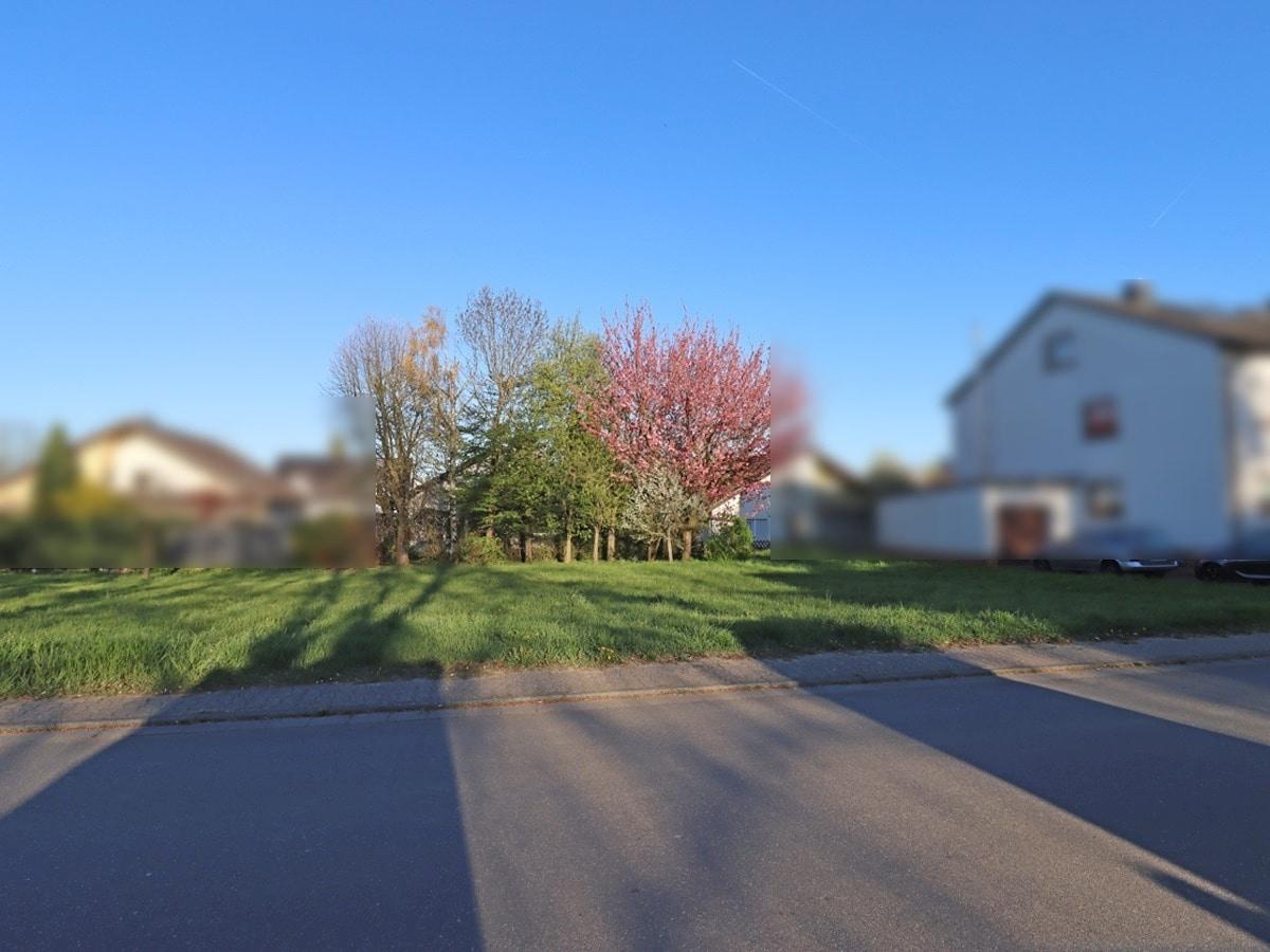 Blick auf das Baugrundstück