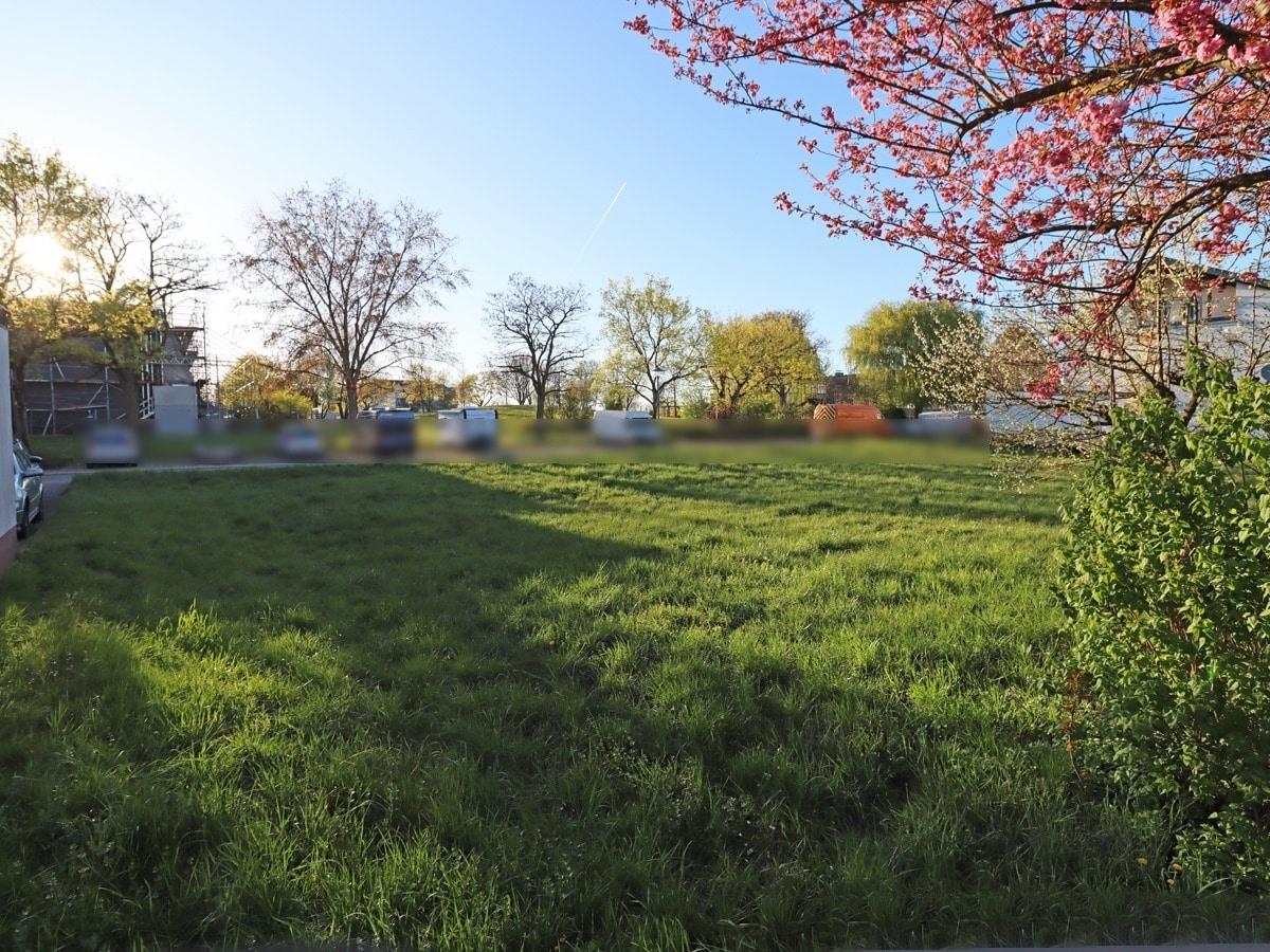 Blick Richtung Straße