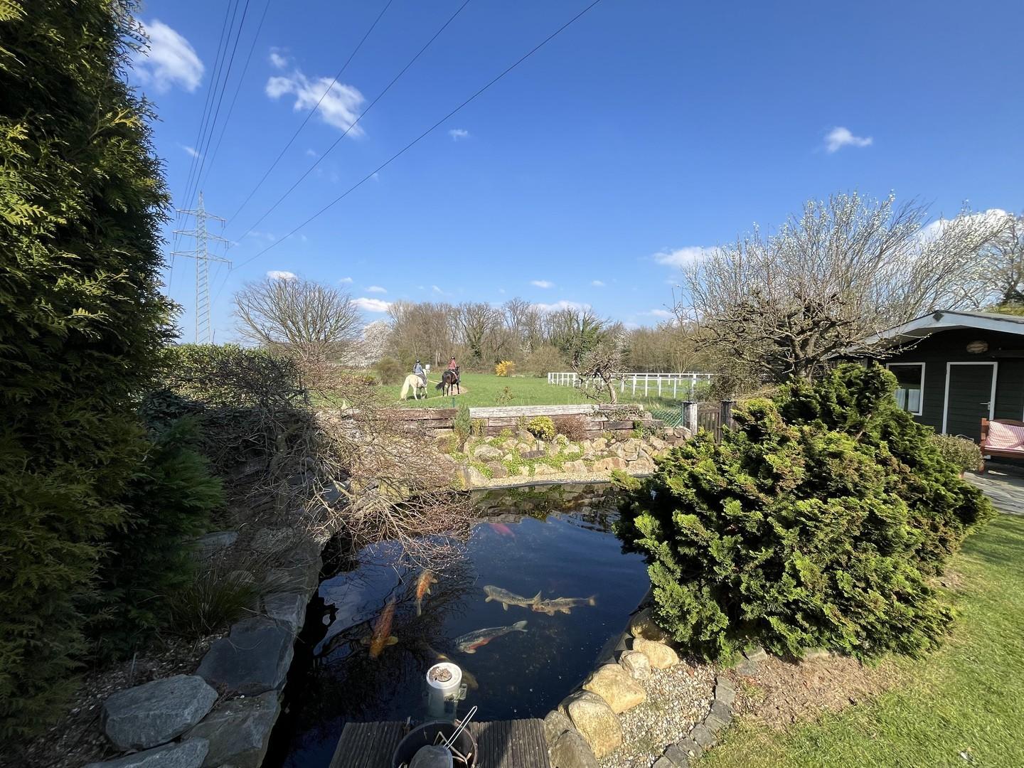 Teich mit Gartenhaus