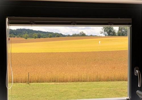 Blick aus d Arbeitsz/Kizi.