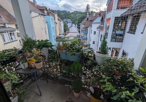 Balkon