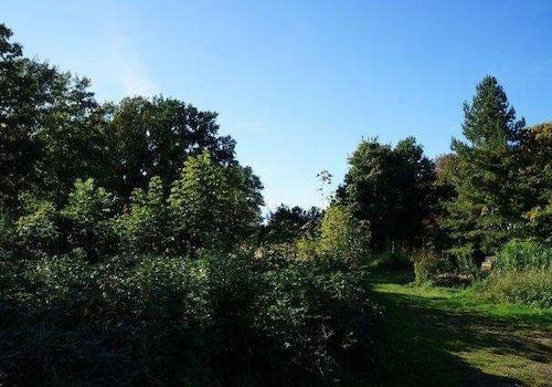 Blick westlich