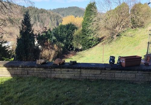 Terassenblick