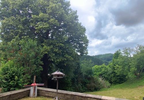 Blick vom Freisitz