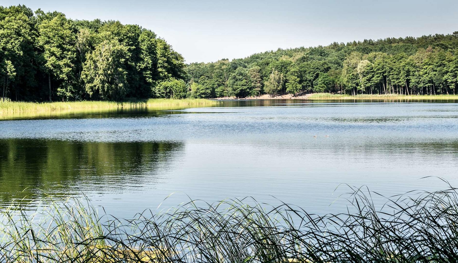 Grunewaldsee