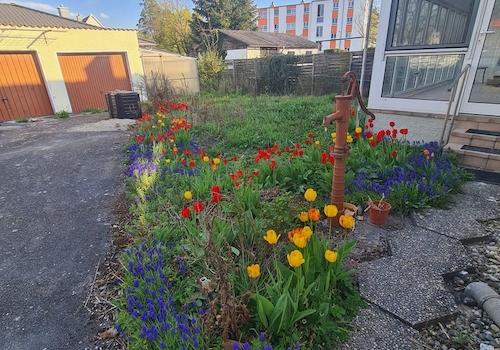 Garten hinten
