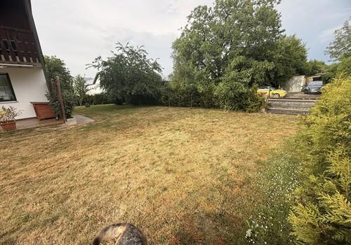 Garten2