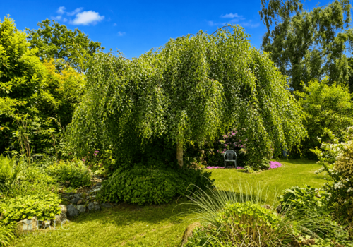 Schöner Garten!