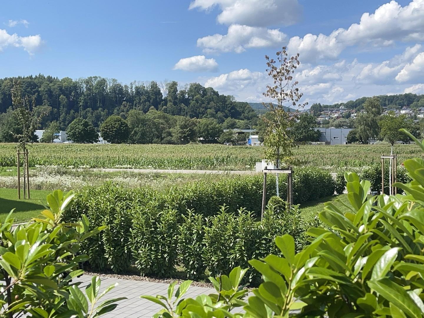 Blick von der Terrasse