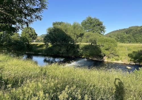Direkte Umgebung und Natur
