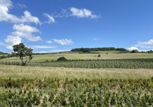 Direkte Umgebung und Natur