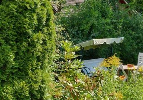 IMG_20220805_113556 Garten