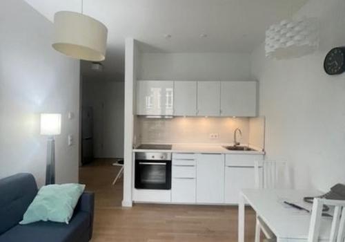 Wohnzimmer  + Küche