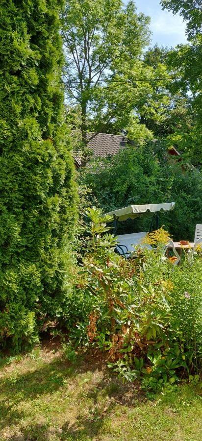 IMG_20220805_113556 Garten