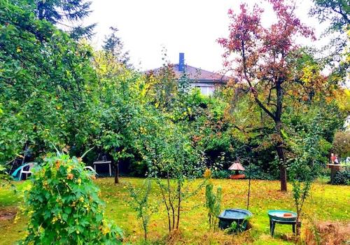 Garten