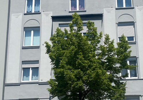 Hauptgebäude