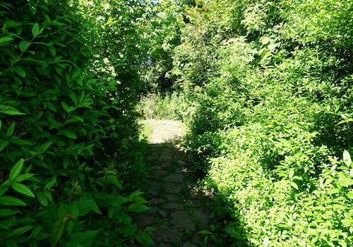 Weg zum Garten
