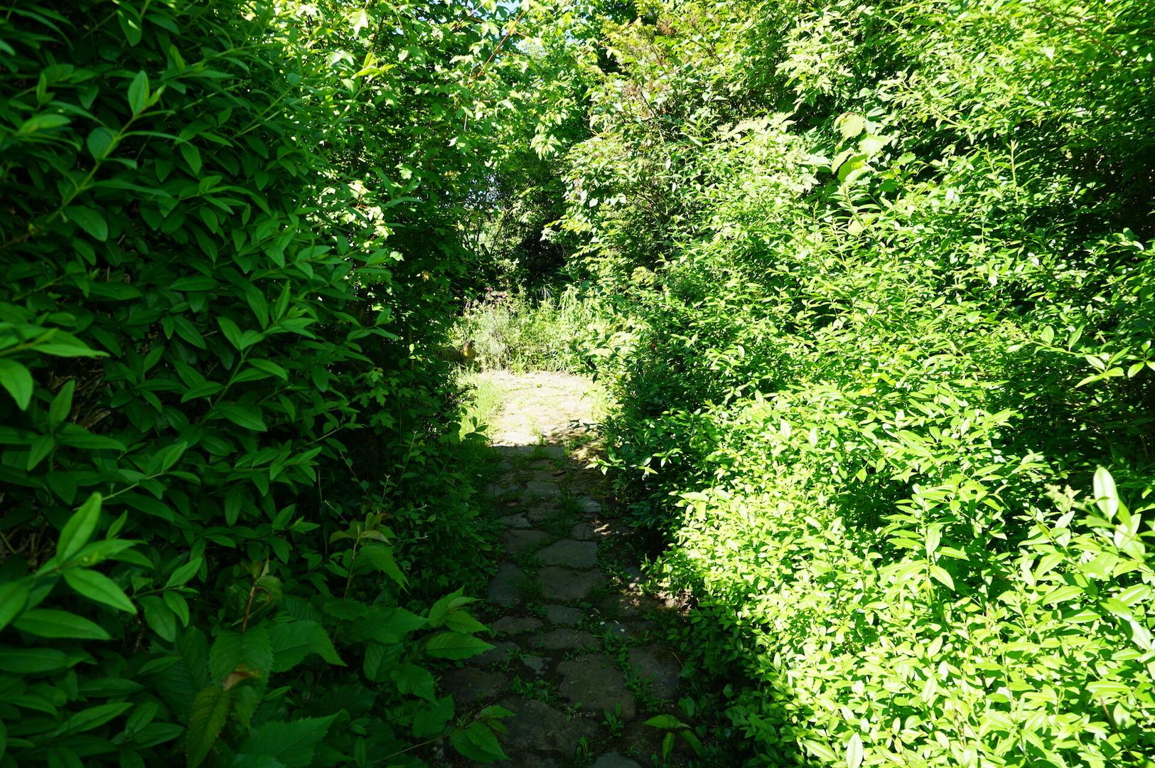 Weg zum Garten