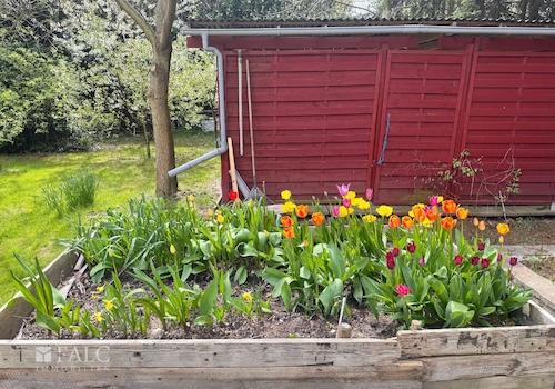 Garten