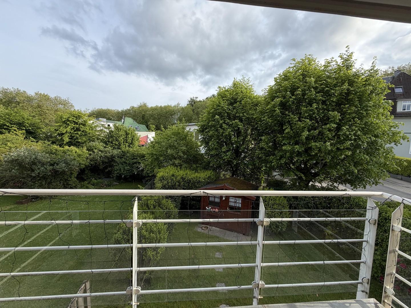 Blick zum Bredeneyer Wald