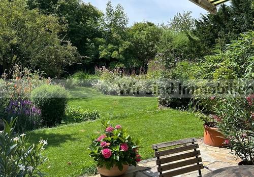 Garten im Sommer