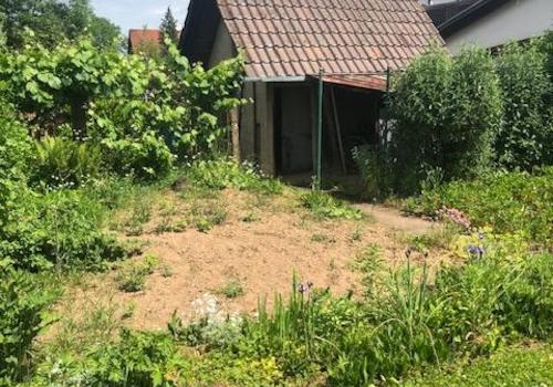 Nutzgarten mit Gartenhaus
