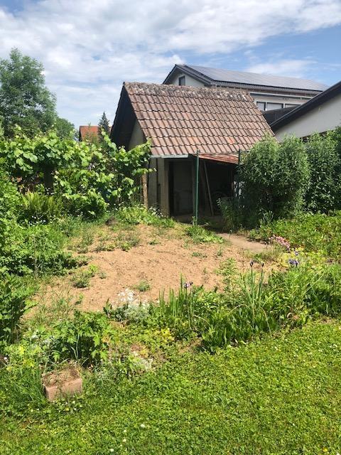 Nutzgarten mit Gartenhaus