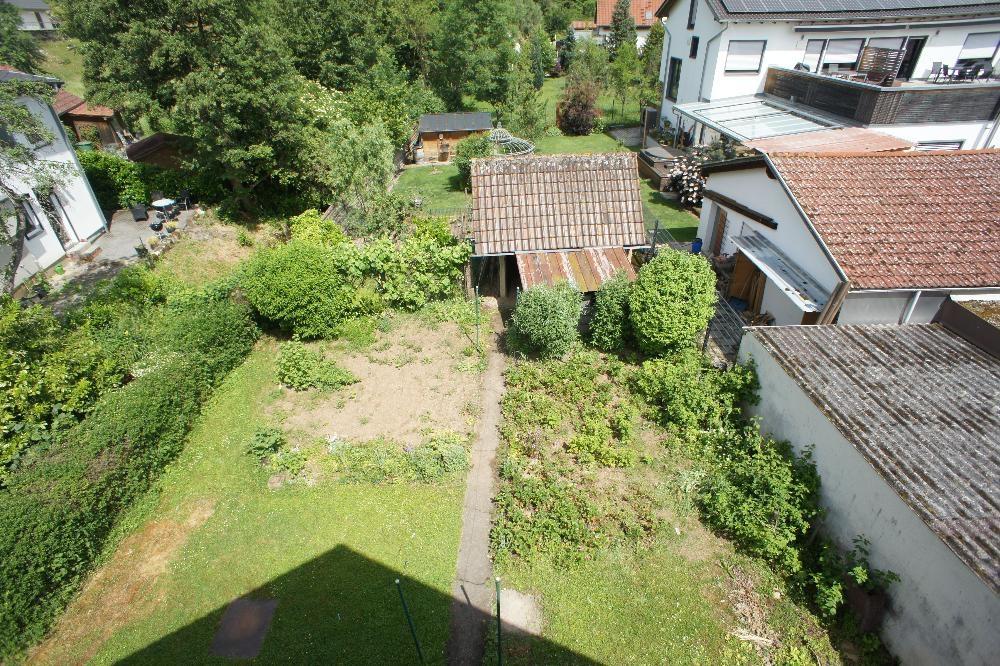 Blick in den Garten