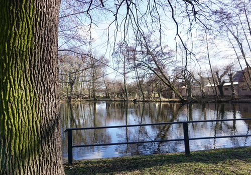 Teichlandschaft