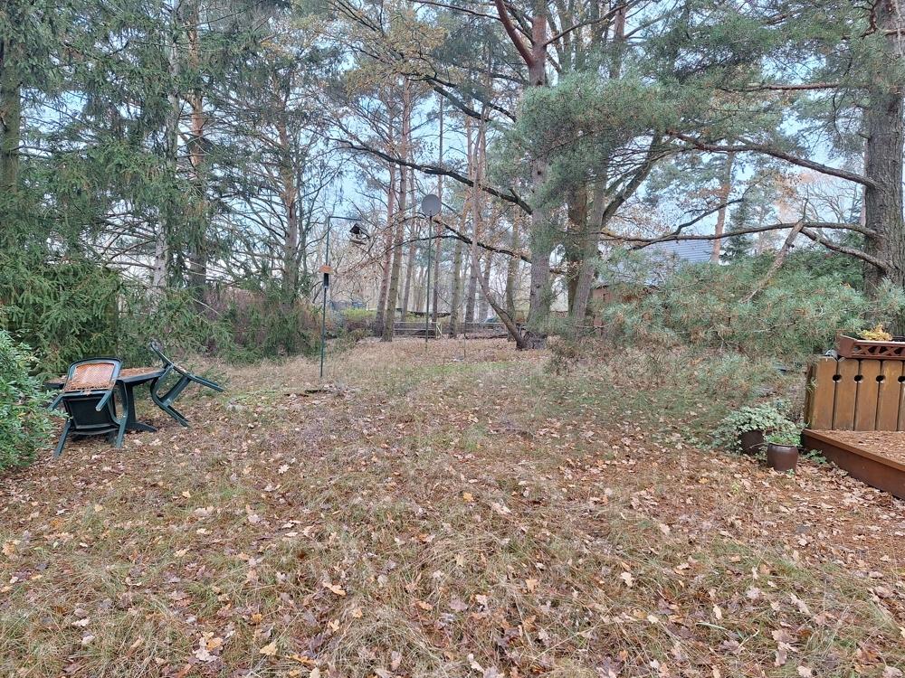 Blick auf das Grundstück