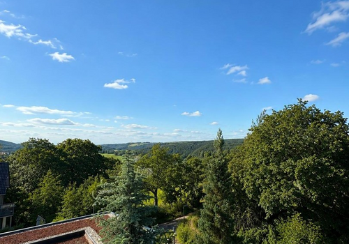 Ausblick