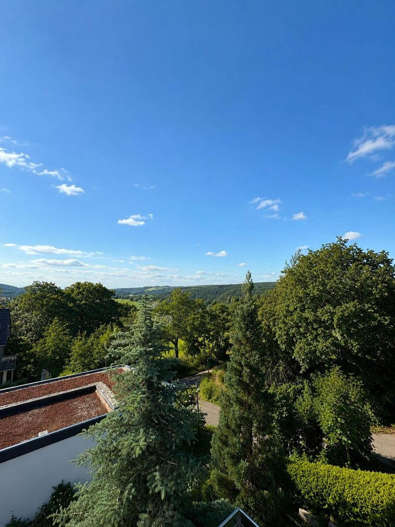 Ausblick