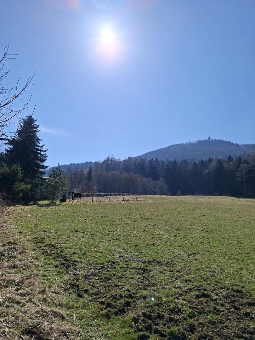 Blick auf die Lausche