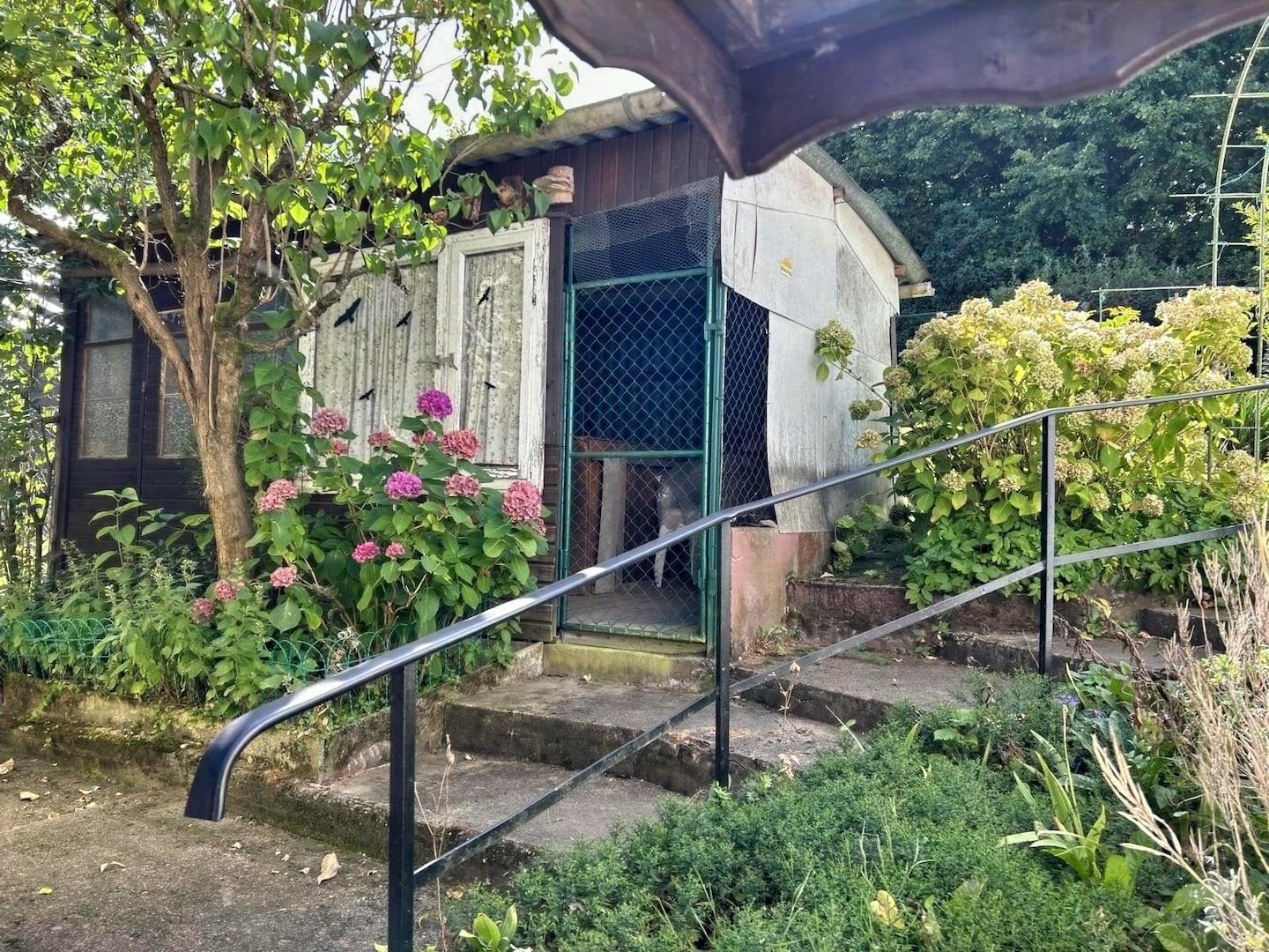 Schuppen im Garten