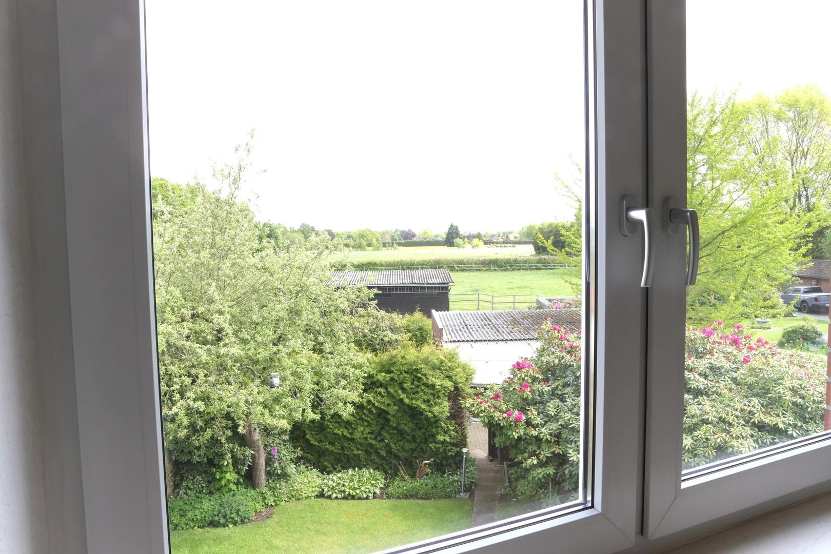 Blick aus OG
