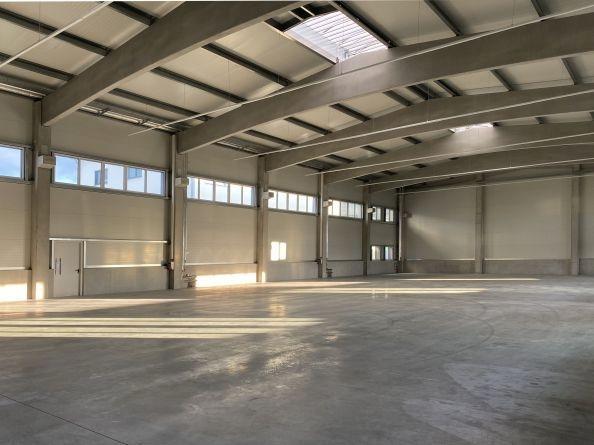 Bild/Grundriss 1