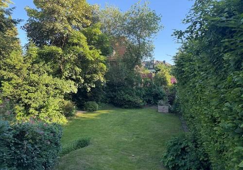 Garten von der Terrasse aus