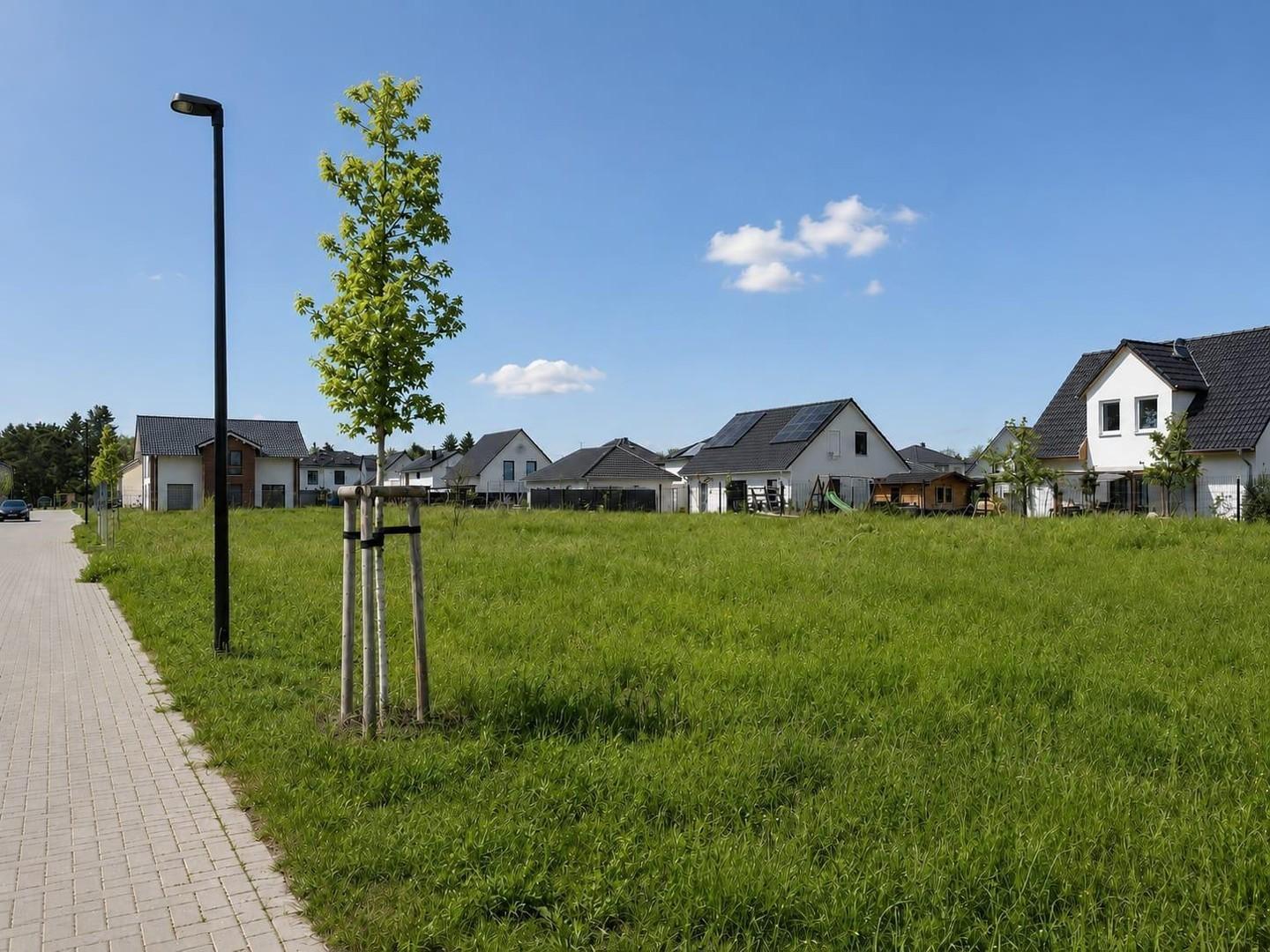 Baufeld