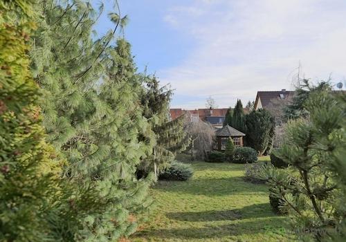 Blick in den Garten