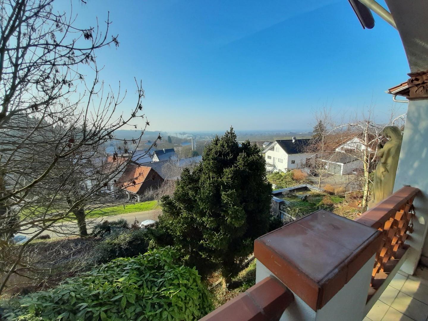 Blick v. Balkon in Rheinebene
