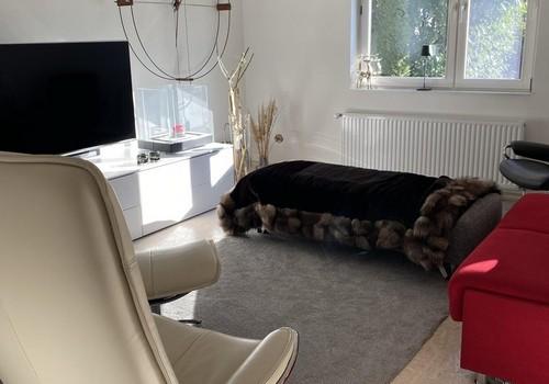 Wohn bzw. Eßzimmer