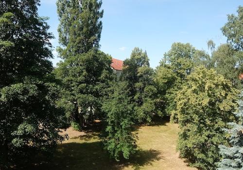 Ausblick