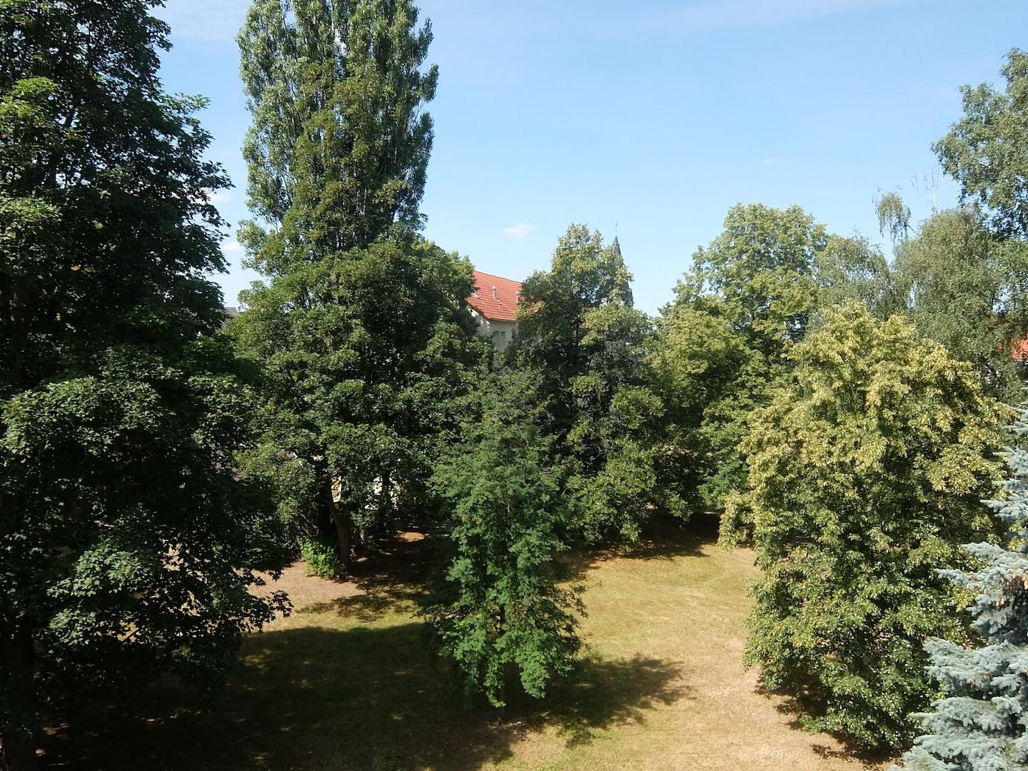Ausblick