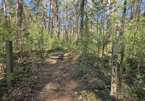 der Weg zum See