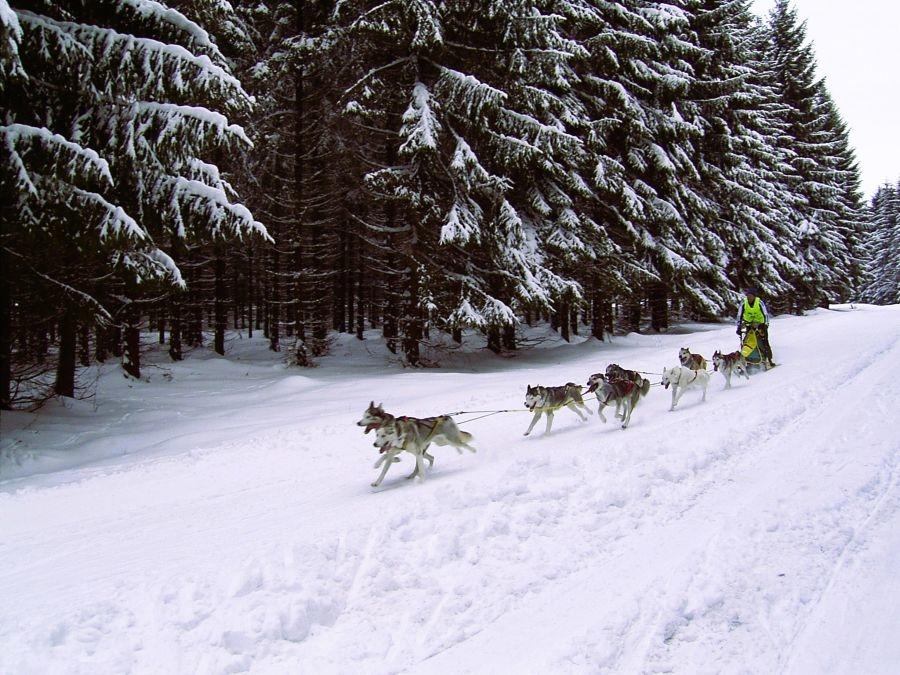 Umgebung_Winter