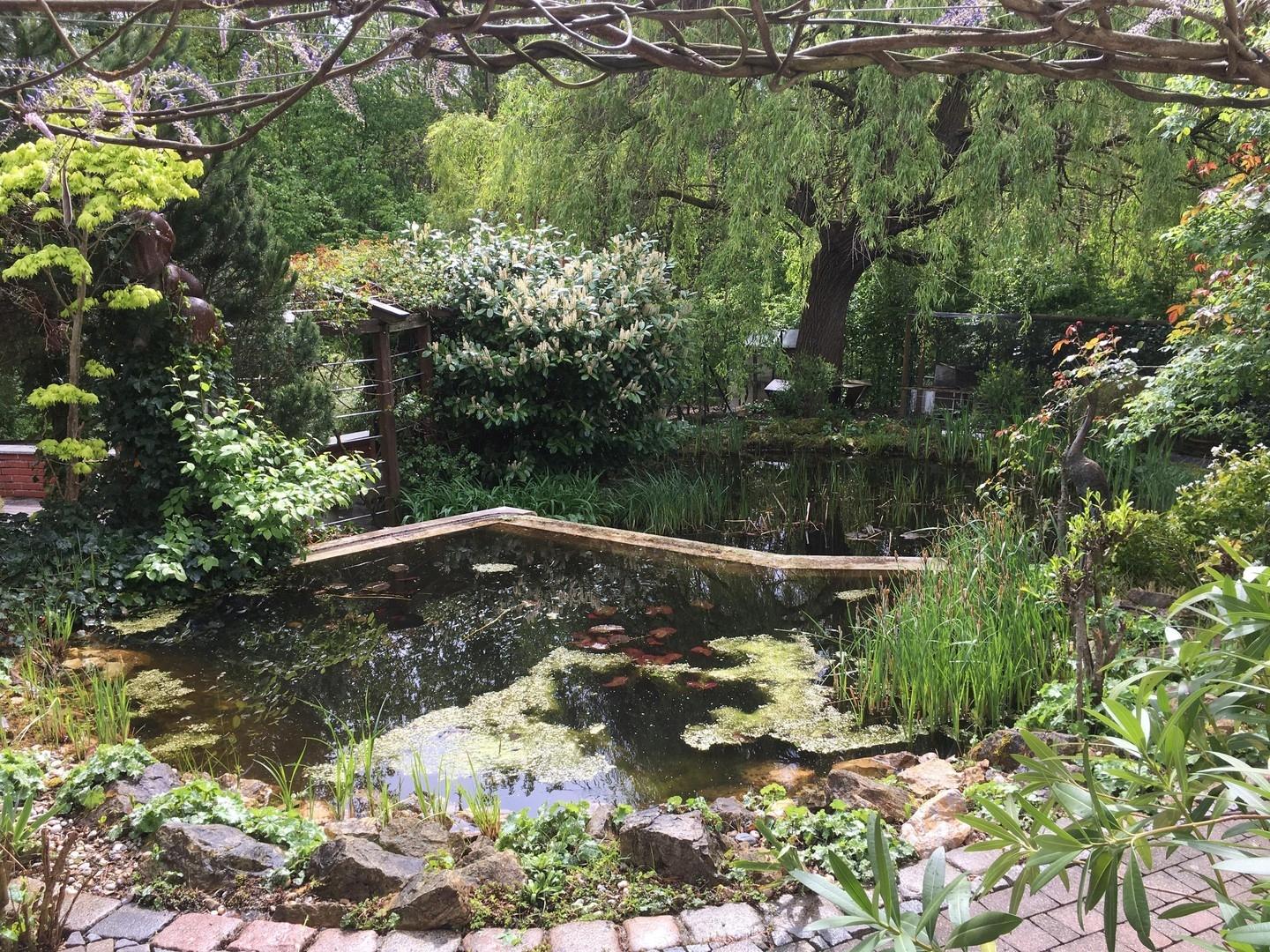 Schwimmteich